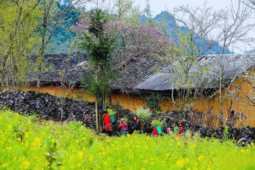 Image gallery